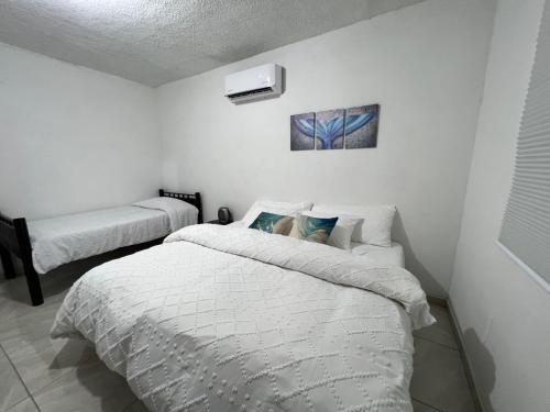 San CarlosPuerto San Carlos Bay House & Tours -1st Floor-的白色墙壁客房的两张床
