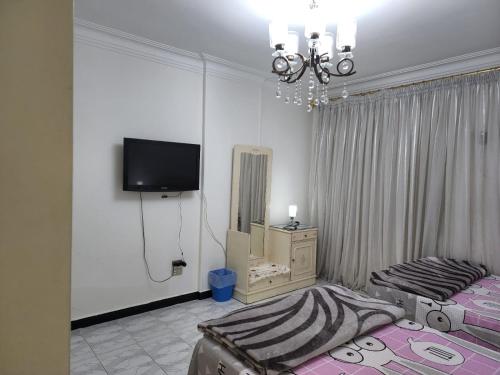 开罗Comfortable Apartment in sheraton Heliopolis 5 minutes from Cairo Airport的卧室配有一张床,墙上配有电视。