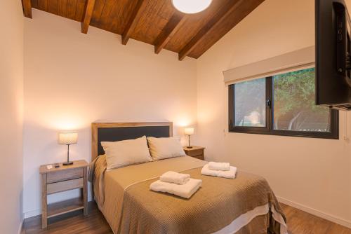 圣马丁德洛斯Los Maitenes的一间卧室配有一张床,上面有两条毛巾