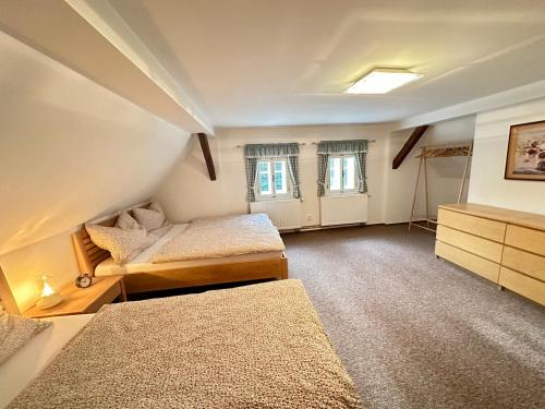 RudníkCottage Janovice的一间卧室设有两张床、一个梳妆台和两个窗户。