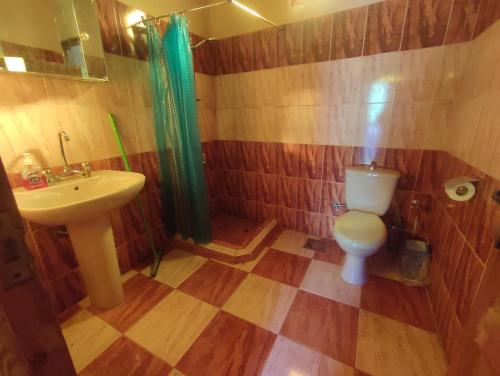 BawatiSand Rose Bahriya Hotel的一间带卫生间和水槽的浴室