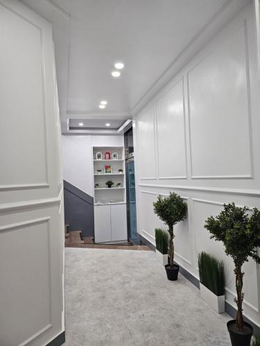 首尔K Highstel的厨房配有白色橱柜和2种盆栽植物