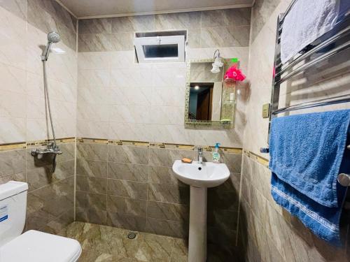 伊斯梅尔雷AkbA-Frame2的一间带水槽和卫生间的浴室
