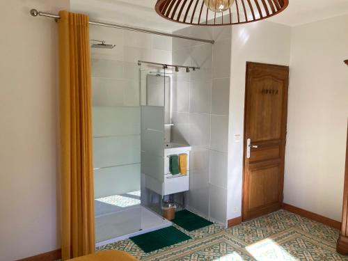 莫里埃莱阿维尼翁Domaine des Lavarines的带淋浴的浴室和玻璃门
