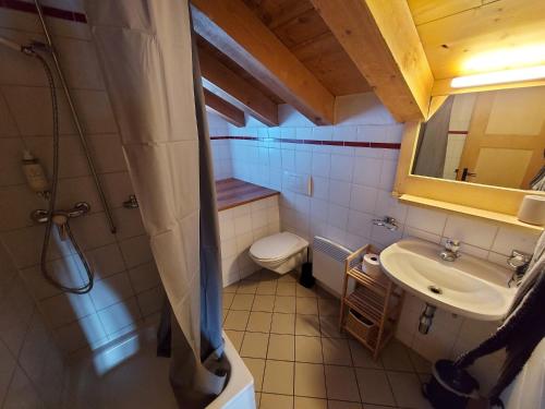 圣吕克Gîte du Prilet的一间带卫生间和水槽的小浴室