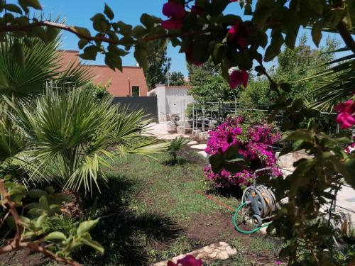 菲乌米奇诺Fiumicino Aeroporto Casa Vacanze Papaveri的种满鲜花的花园,在草地上骑自行车