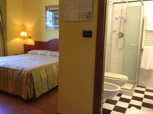韦尔切利Hotel Cinzia Ristorante Christian e Manuel的一间卧室设有一张床、淋浴和卫生间
