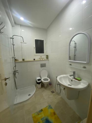 斯法克斯Superbe appartement hautstanding的一间带水槽、卫生间和镜子的浴室