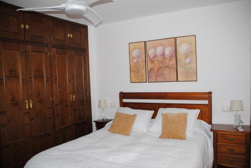 隆达Casa La Pechá, Ronda (Málaga)的一间卧室配有一张床和吊扇