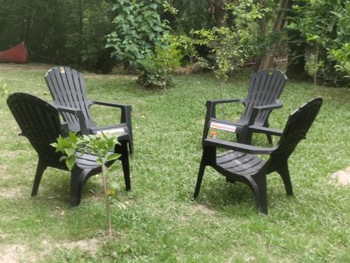蒂格雷Cabaña Isla Coco的两把黑色椅子坐在草上,植有植物