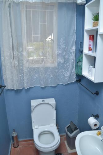 温特和克Wanjara's Nest的一间带卫生间、水槽和窗户的浴室