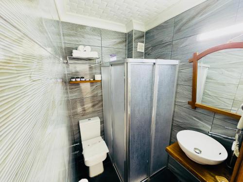达特恰福达酒店的一间带卫生间和水槽的浴室