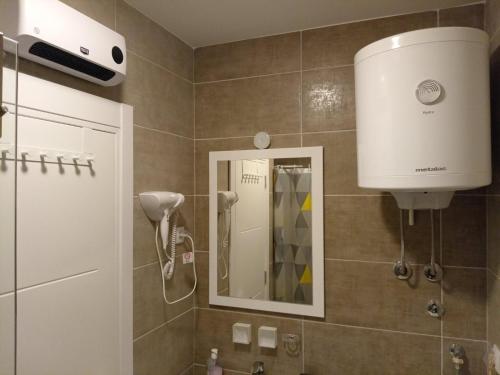索科矿泉村Apartman Pan的墙上设有带吹风机和淋浴的浴室