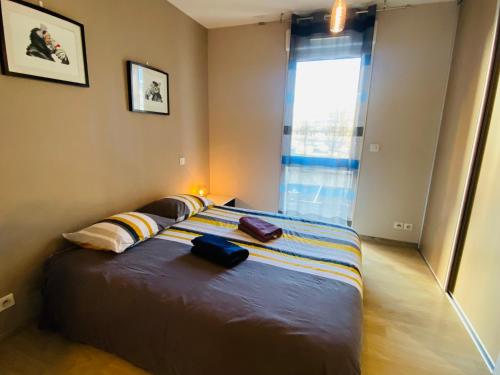 罗德兹Appartement T2 cosy à Rodez的一间卧室,配有一张带两个袋子的床