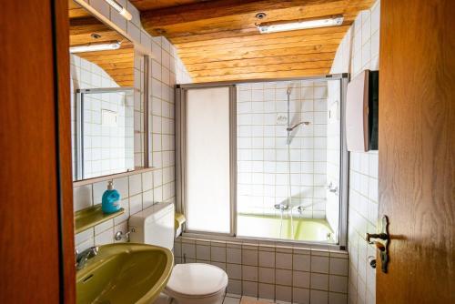基姆湖畔普林Ferienwohnung Hötzelsperger的一间带绿色浴缸、卫生间和窗户的浴室