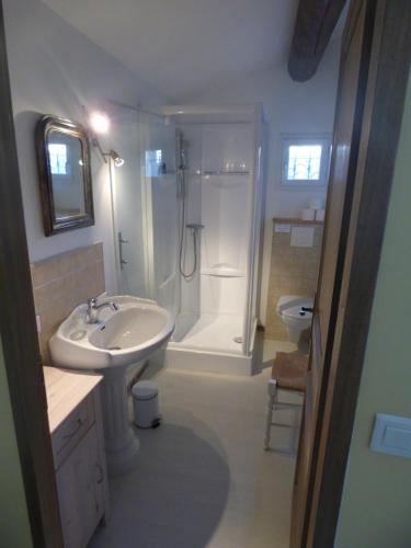 博凯尔Chambre d'Hôtes entre Provence et Camargue的一间带水槽、淋浴和卫生间的浴室