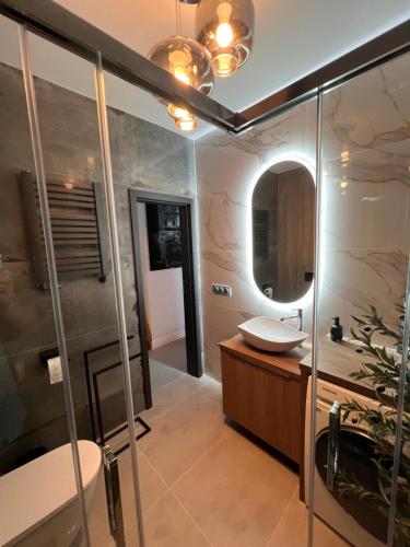 库多瓦-兹德鲁伊Villa Monte Apartament z ogrodem的一间带水槽和镜子的浴室