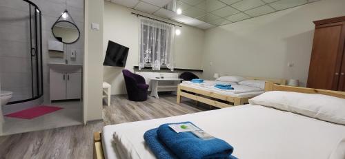 热舒夫ETNA - Hostel -Noclegi Rzeszów的一间酒店客房 - 带一张床和一间浴室
