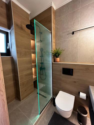 阿格里尼翁Orange Luxury apartment in agrinio的一间带卫生间和玻璃淋浴间的浴室