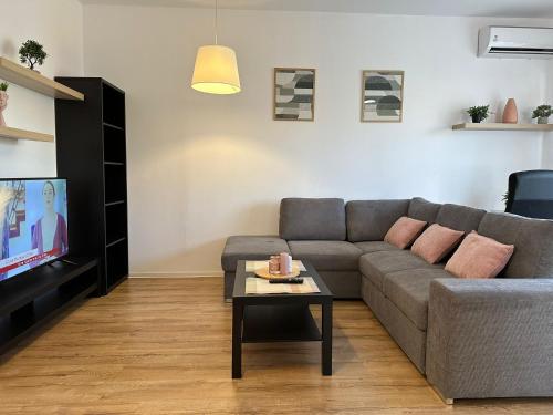 蒂米什瓦拉Lipatti 15 Apartments by GLAM LUXURY的带沙发和电视的客厅