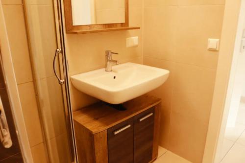 欣贝格Aparthotel Vienna Airport的浴室配有白色水槽和淋浴。