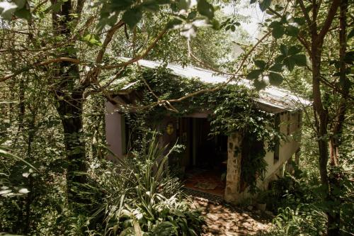 科尔多瓦Prana Eco hospedaje的树林里一座废弃的房子