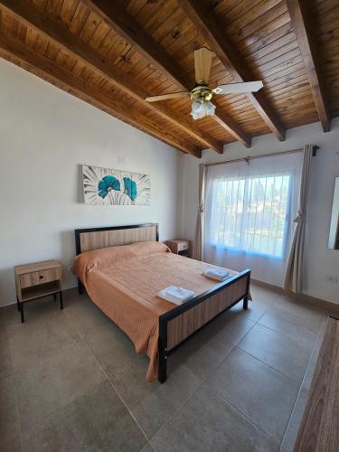 卢汉德库约HORNEROS Duplex En Lujan de Cuyo Mendoza的一间卧室配有一张床和吊扇