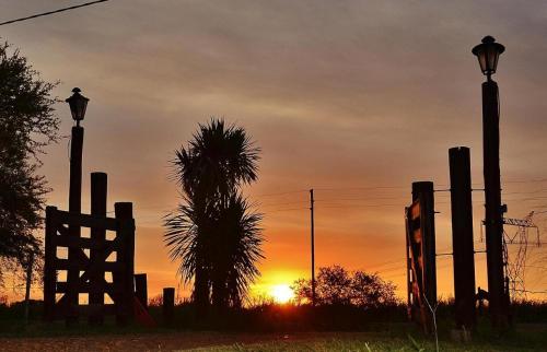 GualeguaychúValdemoro Hosteria的棕榈树和两盏路灯的日落