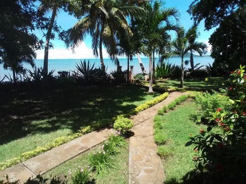 贝岛Villa Colibri的一条通往棕榈树和大海的海滩的路径