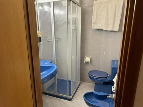 福尔加里亚Life Hotels Des Alpes的浴室设有2个蓝色卫生间和淋浴。