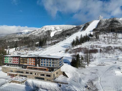 多尔尼莫拉瓦健康百事达酒店的一座雪中与山间的建筑