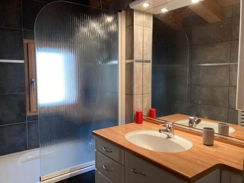 蒙特瓦勒赞Les Mélèzes, joli duplex dans un chalet的浴室配有盥洗盆、镜子和浴缸