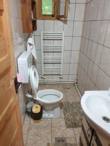 上森伯塔乡Casa Lacramioara的一间带卫生间和水槽的浴室