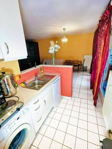 蒙多夫莱班Studio - Thermes de Mondorf的厨房配有水槽和洗衣机