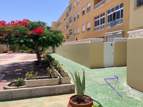 厄尔梅达诺Apartamento LOLO的绿地,庭院里种有树木和植物