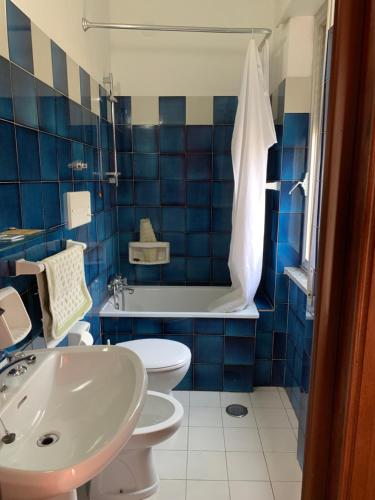 Piana CrixiaHotel Villa Carla的蓝色瓷砖浴室设有卫生间和水槽