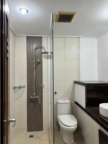 碧瑶Colione Bed and Breakfast的带淋浴、卫生间和盥洗盆的浴室