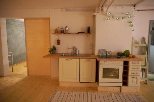 施泰因加登Oide Schreinerei的厨房配有水槽和炉灶 顶部烤箱
