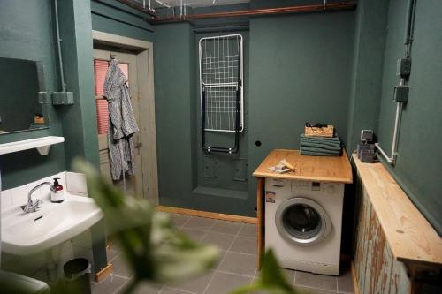 施泰因加登Oide Schreinerei的一间带洗衣机和水槽的浴室