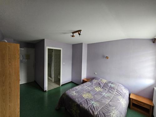 Robert-Espagnehotel restaurant de la gare的一间卧室设有一张床,并铺有绿色地板。