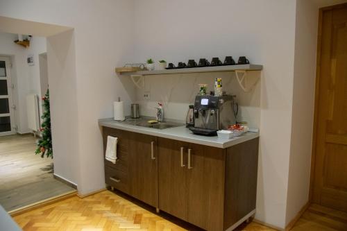 锡比乌4Rooms Central Sibiu的厨房配有水槽和台面