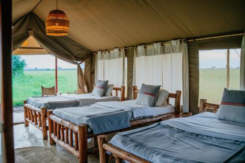 塞伦盖蒂Zawadi Camp的帐篷内一间卧室,配有三张床