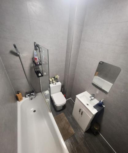 伦敦Alexandra Palace Sleep Overs的带浴缸、卫生间和盥洗盆的浴室