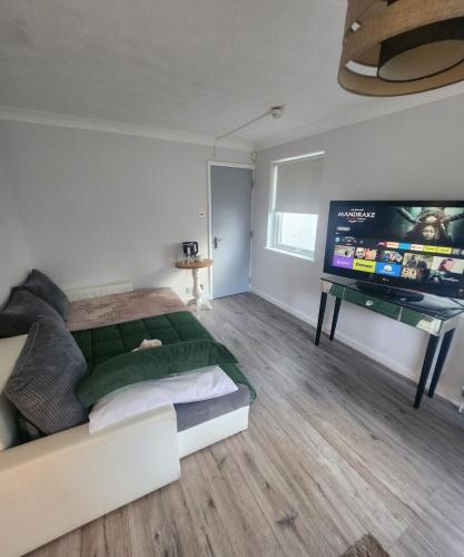 伦敦Alexandra Palace Sleep Overs的一间卧室配有一张床和一台平面电视