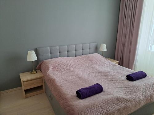 塔尔图Aleksi Apartments的一间卧室配有一张带紫色枕头的床