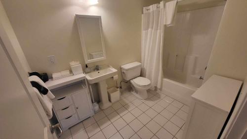 底特律Prime City Center Location! 2BR Near Everything!的白色的浴室设有水槽和卫生间。