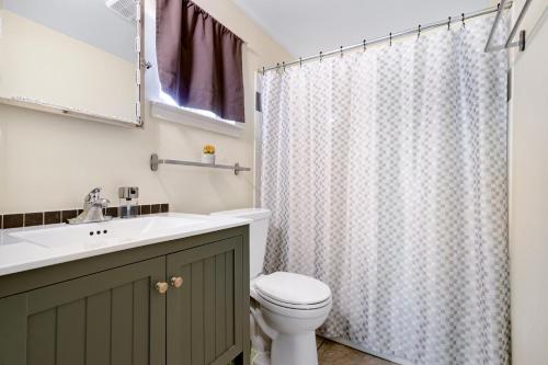 圣安东尼奥Marfa - A Birdy Vacation Rental的一间带卫生间和淋浴帘的浴室