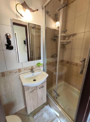 波拉齐克Widok apartamenty,domki,pokoje 725 -258 -751的一间带水槽和淋浴的浴室