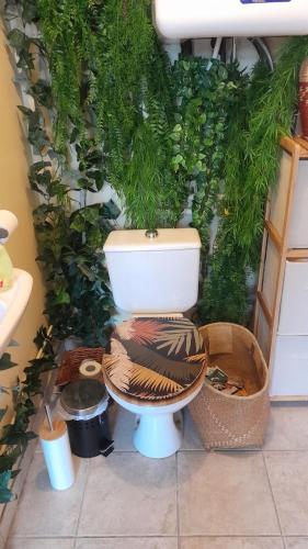 Saint-Alban-de-RocheStudio Au Clair de Lune的浴室设有墙上植物厕所