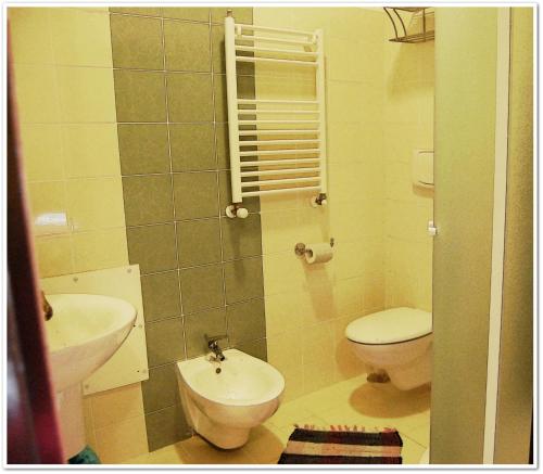 圣欧费米亚拉默齐亚拉马托博尔戈住宿加早餐旅馆的一间带卫生间和水槽的小浴室